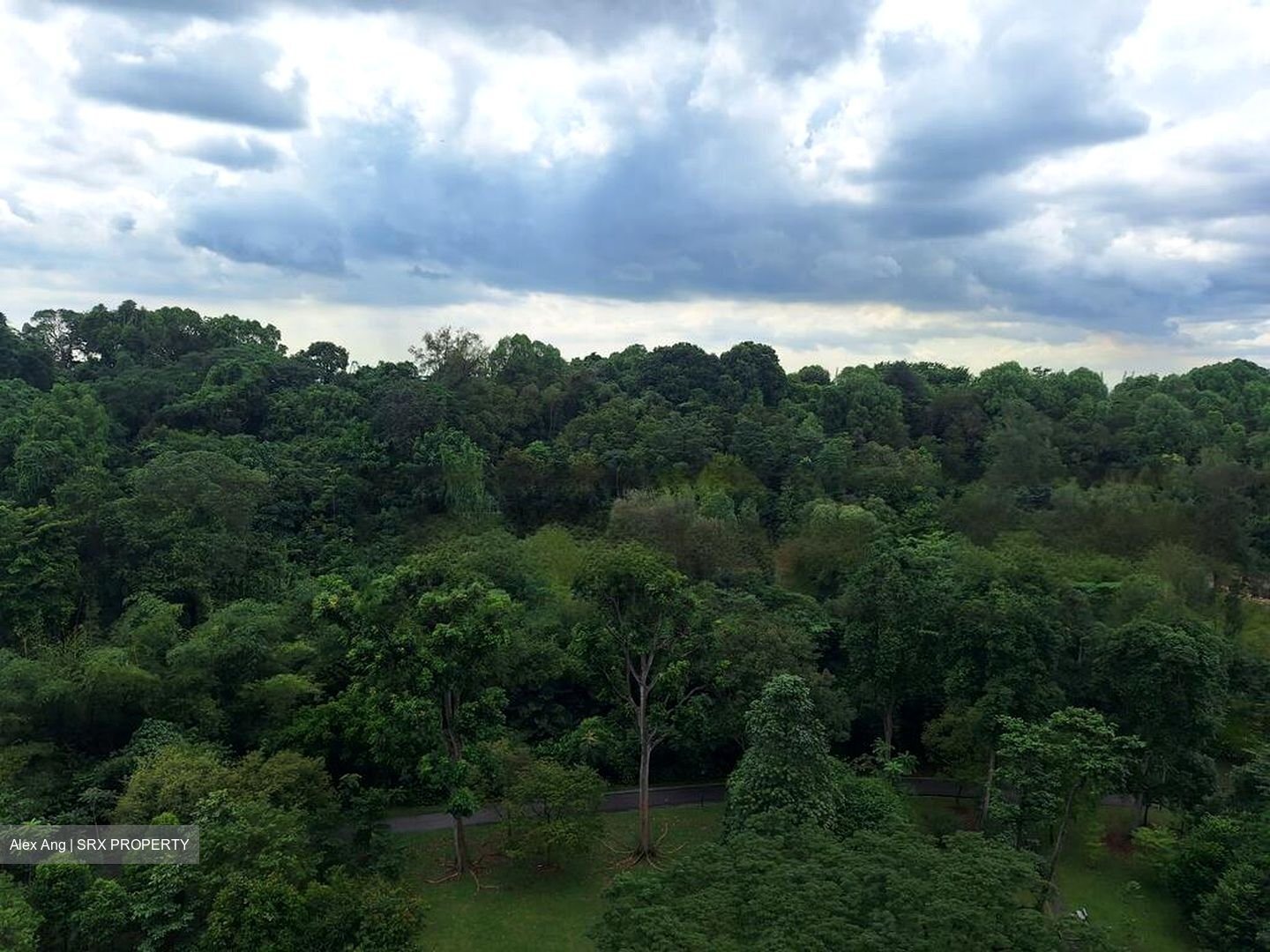 Normanton Park (D5), Apartment #457346661